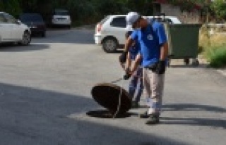 Büyükşehir Alanya'da sinek avında