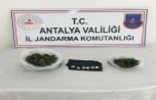 Hayvan ağılında uyuşturucu yakalandı