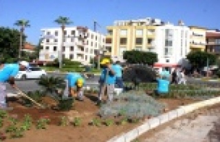 Mola Kavşağı'nda Peyzaj düzenlemesi yapıldı