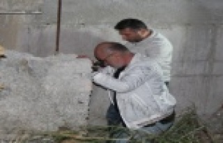 Alacaklıları kaçırıp zincirle bağladı