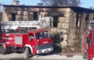 Alanya'da 38 hayvan yanarak telef oldu