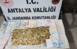 Alanya’da baskın! O evden çıkanlar şok etti