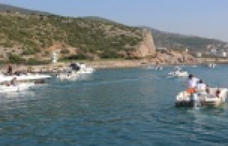 Alanya’da en büyük balığı yakalamak için yarışıyorlar