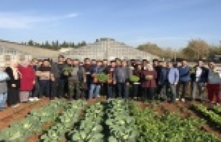 Bahçe Bitkileri Öğrencileri sebzeleri kendileri...