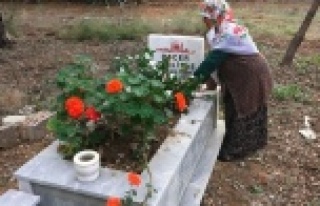 Mezarlıktaki kabrin kazılıp etrafına kenevir ekildiği...