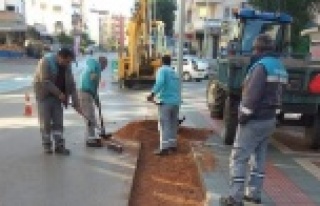 Alanya Belediyesi'nden asfalt seferberliği