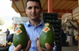 Alanya'da havalar soğudu fiyatlar yükseldi