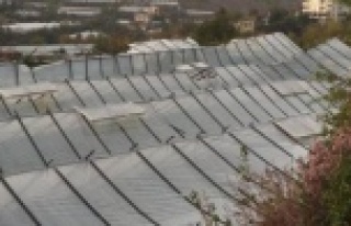 Alanya'da rüzgar seraları parçaladı