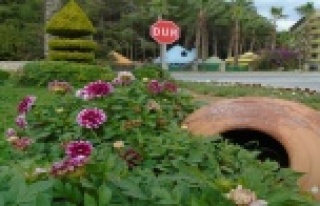 Alanya kışın da çiçek açacak