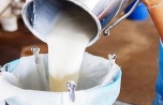 Çiğ süt ve tiftik üretimi destek ödemeleri bugün...