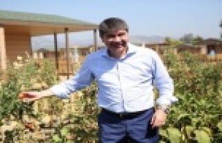 Eski Başkan Türel'den kar maskeli şüpheli...