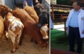 Yüzde 40 Hibeli Düve Alım Desteği Başvuruları...