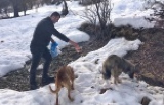 Ak Gençlik'ten örnek davranış