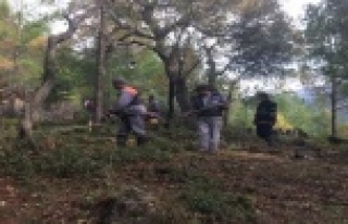 Alanya’daki mezarlıklarda 86 kişilik ekiple temizlik