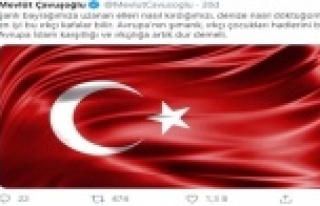 Bakan Çavuşoğlu'ndan Yunan vekile sert tepki
