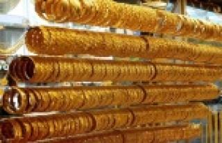 Çeyrek altın 492 lira oldu