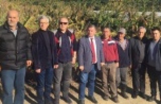 CHP Alanya'da hasar tespiti yaptı