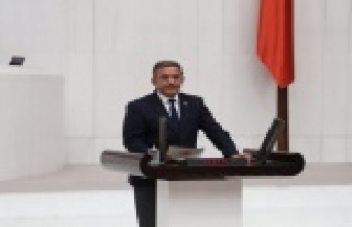 'Alara Çayı üzerindeki HES'ler iptal...