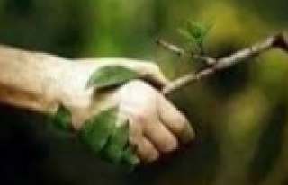 Cimrin: Doğa bizim camimizdir