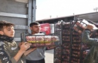 Depremzedelere 40 tonun üzerinde meyve-sebze