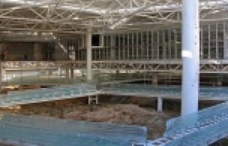 Doğu Garajı Nekropol Alanı'nda sona gelindi