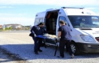 Hayvan ambulansı ile 2019 yılında 9 bin ihbara...