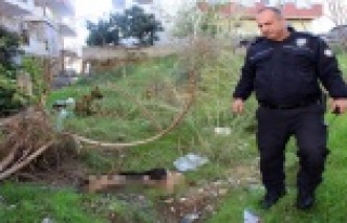 'İnsanlara zarar verse daha mı iyi olacak'...