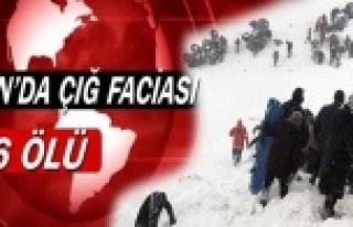 AFAD: "Van’da çığ düşmesi sonucunda 26...