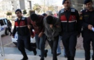 Alanya'da 10 ton muz çaldığı iddiasıyla...