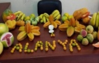 Alanya'da 38 tropikal meyve ve sebze yetiştiriliyor
