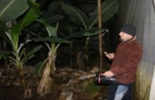 Alanya'da bu gece de don var!