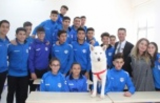 Alanya'da müdürün internetten sahiplendiği...