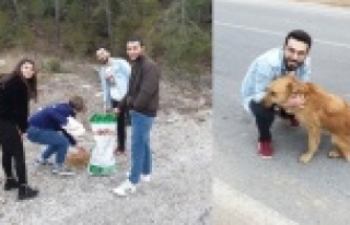 Alanya HEP Üniversitesi öğrencilerinden örnek...