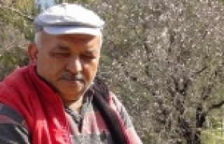 Gazipaşa'ya bahar erken geldi