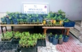 Uyuşturucu operasyonu!