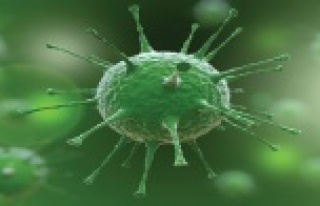 “Yaz aylarıyla birlikte koronavirüs bitebilir”