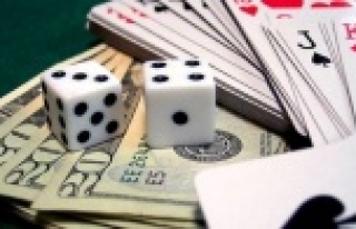 Alanya'da villaya kumar baskını