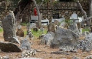 Alanya’da sahipsiz taş mezarlar gizemi koruyor