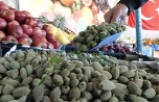 Antalya'da çağla sezonu açıldı