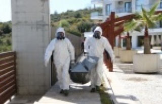 Alanya'da korona bunalımı intihara neden oldu