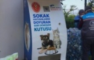 Alanya'da sokak hayvanları için 80 yeni beslenme...