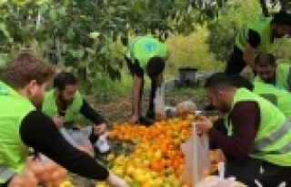 Alanya'da ülkücü gençlerden anlamlı etkinlik