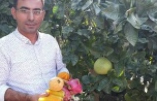 Alanyalı üreticilere müjde