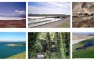 Antalya'dan 2 bölgeninde bulunduğu 21 yerin...