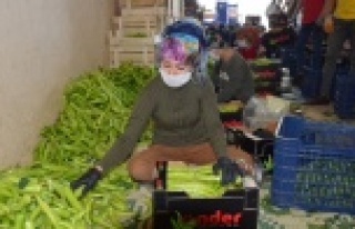 Çiftçi üretime ara vermedi