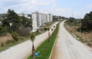 Daha yeşil bir Alanya için çalışmalar sürüyor