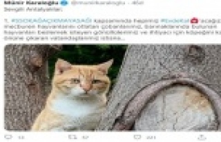 Evcil ve sokak hayvanları için önemli karar!