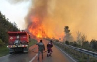 Gazipaşa alev alev yandı! 800 arısı için gözyaşı...