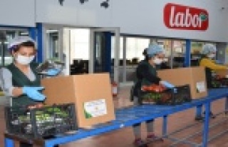 Kalkınma Kooperatifinden ihtiyaç sahiplerine sebze...