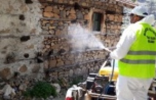 Korona testi pozitif çıkan yaşlı kadının evi...